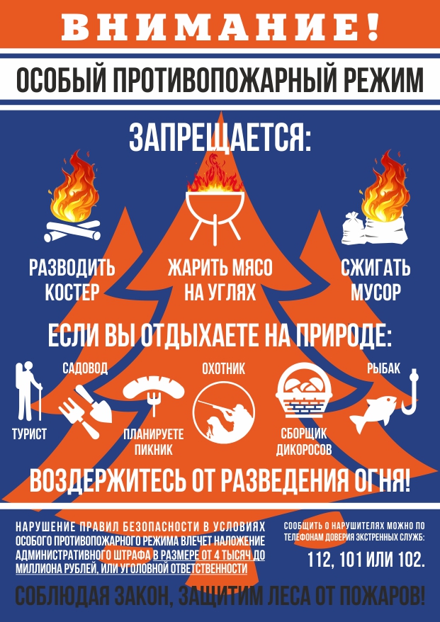 Введен противопожарный режим в лесах.