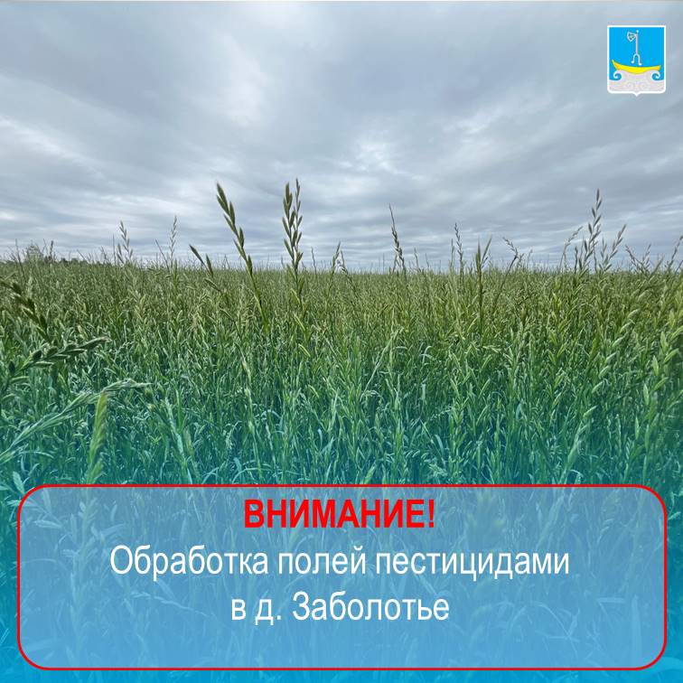 22 мая 2025 г. запланировано внесение пестицида вместе с семенами картофеля путем посадки наземной техникой в д. Заболотье..