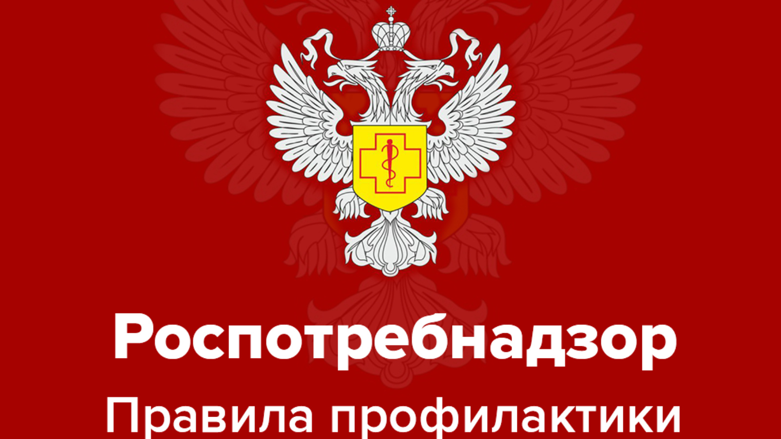 Управление Роспотребнадзора по Архангельской области в целях обеспечения санитарно-эпидемиологического благополучия населения в период проведения массовых мероприятий, посвященных празднованию 80-й годовщины Победы в Великой Отечественной войне 1941-1945.