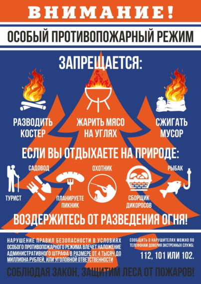 Введен противопожарный режим в лесах. Введен противопожарный режим в лесах.