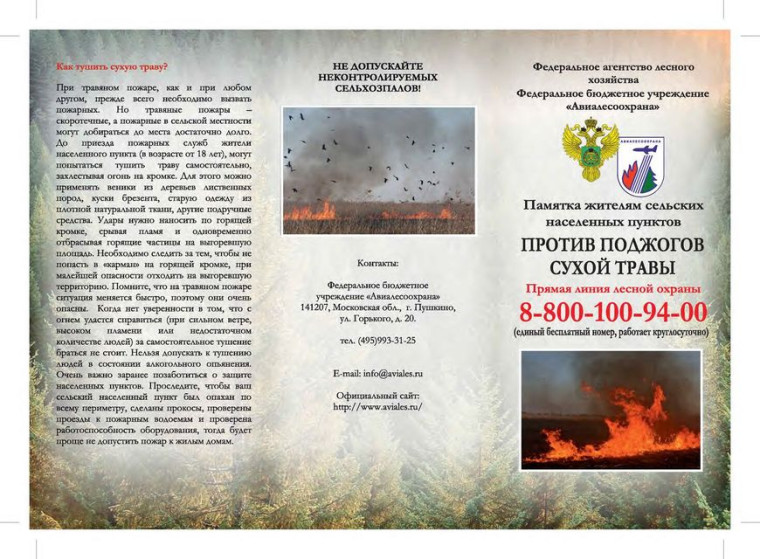 Пожар – не стихия, а следствие беспечности людей!. Пожар – не стихия, а следствие беспечности людей!.