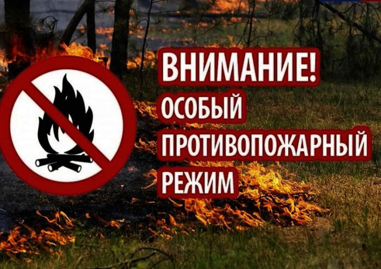 На территории Архангельской области установлен особый противопожарный режим в лесах. На территории Архангельской области установлен особый противопожарный режим в лесах.
